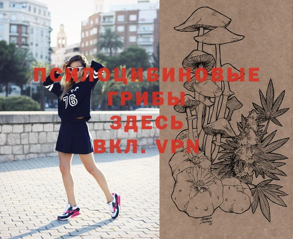 соль курить ск Алексеевка