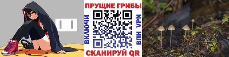 hydra tor  Котлас  Галлюциногенные грибы прущие грибы 