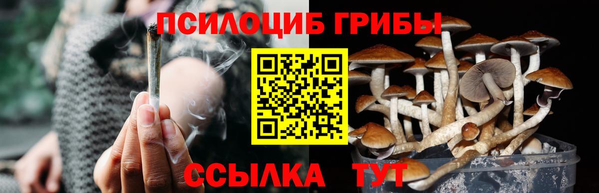 Котлас  Галлюциногенные грибы мухоморы  Вход с VPN  купить наркотик  Псилоцибиновые грибы мицелий 