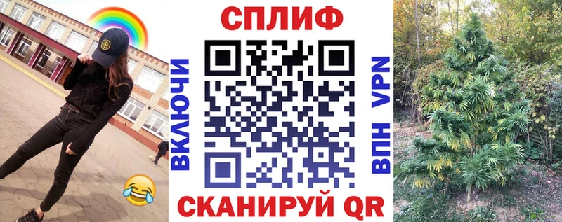 мега онион  закладка  Котлас  Канабис гибрид 